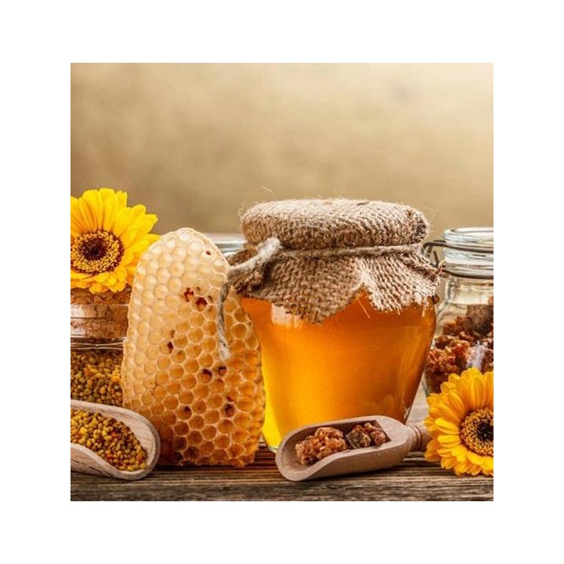 Перга и пыльца пчелинные № 1